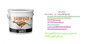 بازرگانی رادین