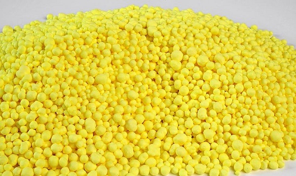 قیمت گل گوگرد