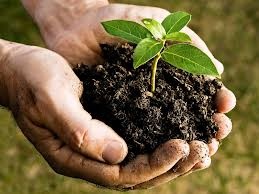 پودر میکرونیزه گوگرد کشاورزی