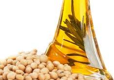 خرید عمده لسیتین آدامس